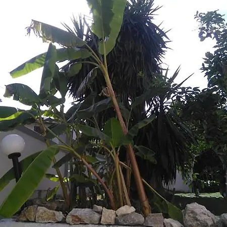 Hotel Aragorn Paradise Garden 3*