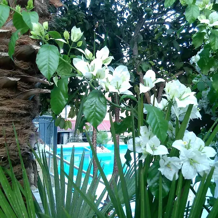 Hotel Aragorn Paradise Garden 3*